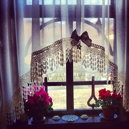 Guest house Casa Lidia *