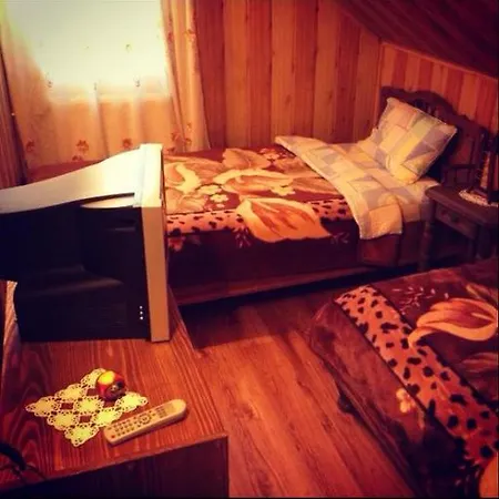 Guest house Casa Lidia Lepsa